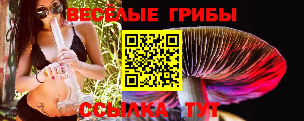 Карталы  Псилоцибиновые грибы мицелий  Вход с VPN  Галлюциногенные грибы Magic Shrooms 
